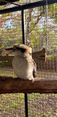 Bunbury Wildlife Park-South Bunbury