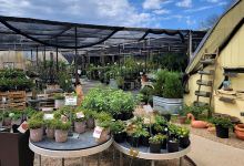 Malakoff Nursery & Garden Center购物图片