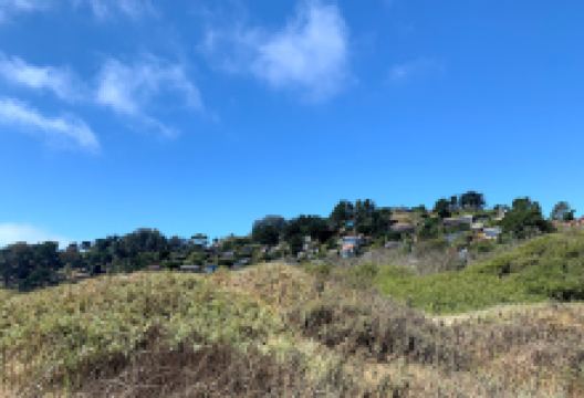 Hike Meeting Point景点图片