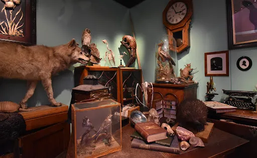 Warrington Museum & Art Gallery