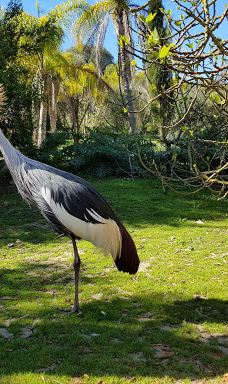 La Pequeña África-加的斯省