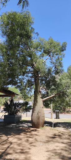 Surat Riverwalk-罗马