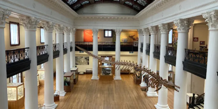 Alabama Museum of Natural History