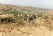 Dhaniya Umarava景点图片