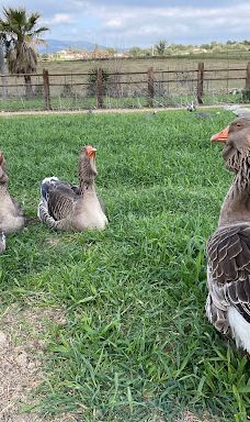 La Pequeña África-加的斯省