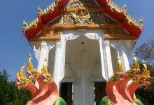 Wat Klong Phak Khom景点图片