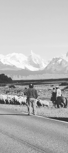 Baft Bike- alquiler de bicis-阿根廷湖县