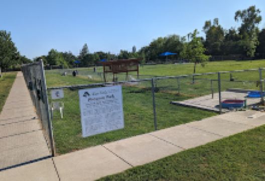 Phoenix Large Dog Park景点图片