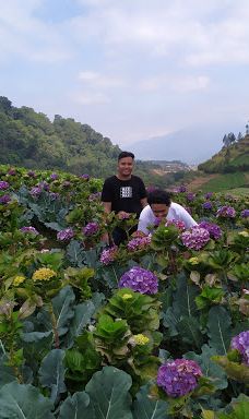 Arboretum Sumber Brantas-Bumiaji
