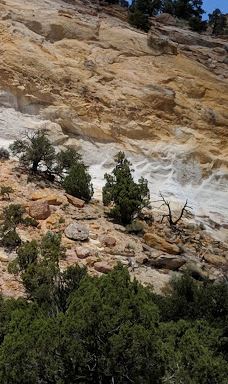 Grosvenor Arch-凯恩县