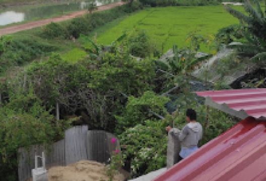 Nông trại Lele景点图片