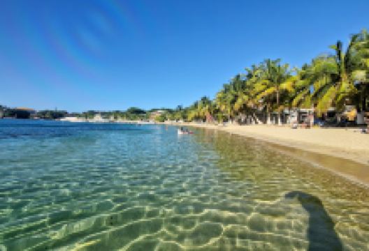 Half Moon Bay Beach景点图片