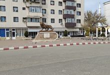 Monument Piateta Leului景点图片
