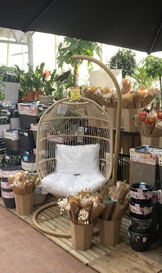 Gamm Vert-拉比谢尔