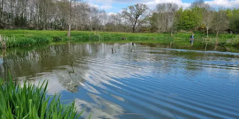 Packington somers fishery
