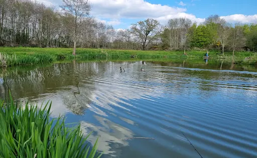 Packington somers fishery
