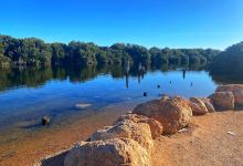 Port Gawler Pontoon景点图片