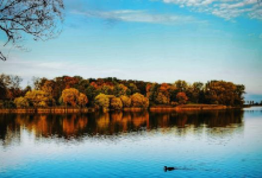Park miejski景点图片