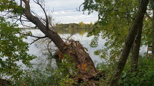 Cedar Hansen Park Mn