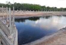 Lagoa Da Calbeira景点图片