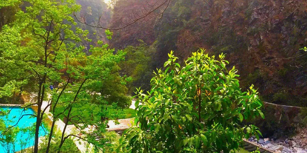 永安旅遊