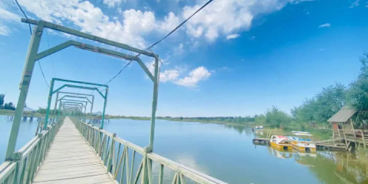 牌樓農場天鵝湖