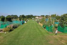 Wapley Allotments景点图片