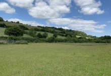 Hugo's Fun Dog Field景点图片