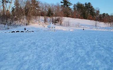 Chelmsford Dog Park