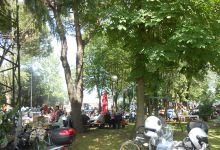 "campino" savio di ravenna景点图片