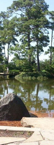 赫曼公园-休斯敦