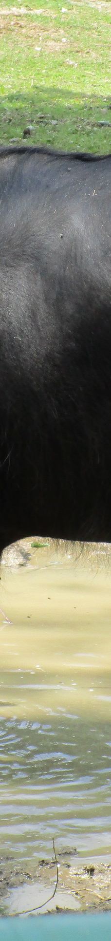 Zoo Kosice-科希策1区