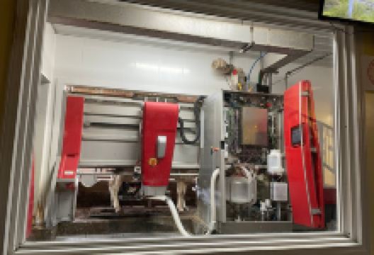 Chaney's Dairy Barn景点图片