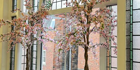 Shrewsbury Museum and Art Gallery