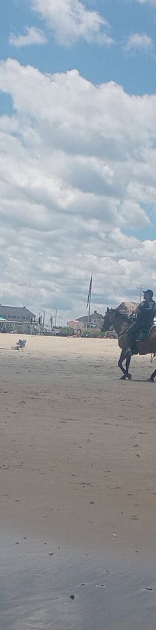 Hampton Beach State Park-汉普顿