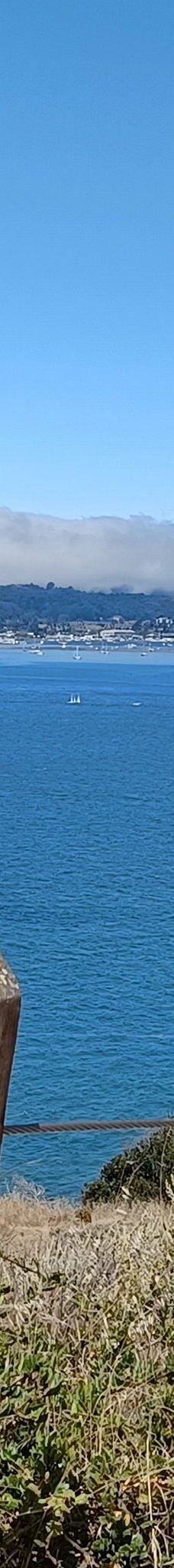 安琪儿岛-蒂伯龙