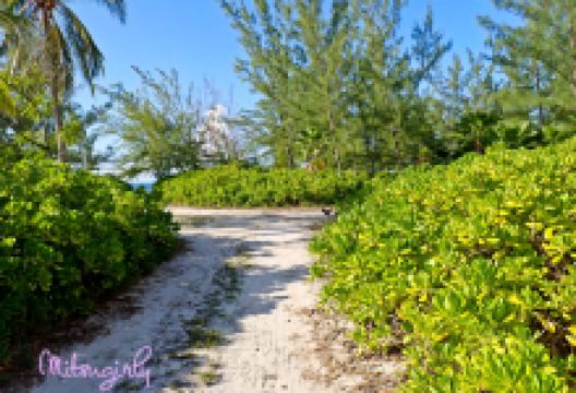 Starfish Point景点图片