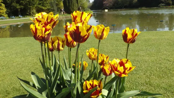 Stewart's Burnby Hall Gardens & Museum