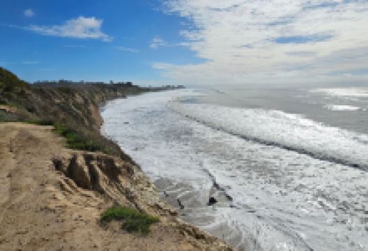 Goleta Butterfly Grove景点图片