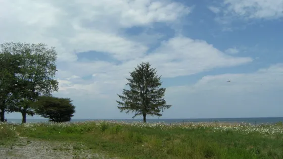 Ruscom Shores Conservation Area