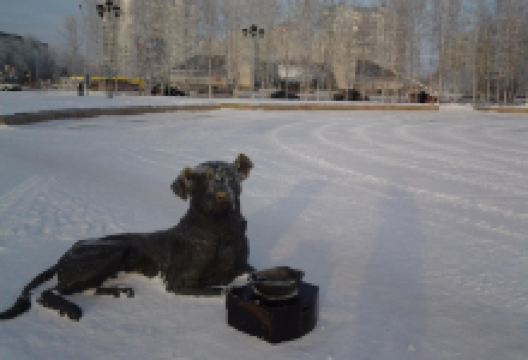 Sculpture The Dog景点图片