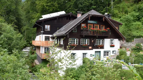 Dittelbachwildnis
