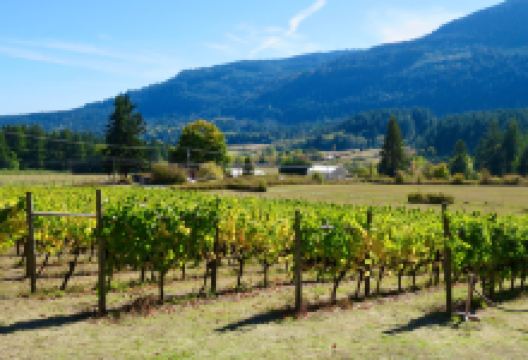 Garry Oaks Estate Winery景点图片
