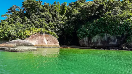 Ilha da Bexiga