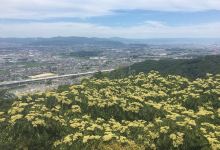 交野山景点图片