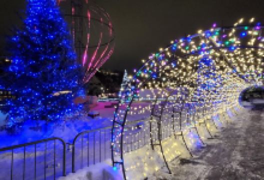 Fontaine du Quai Paquet景点图片