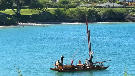Hawaiian Sails