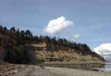 Lily Point Marine Reserve景点图片