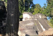 Arqueología Mesoamericana with Juan Bendfeldt景点图片