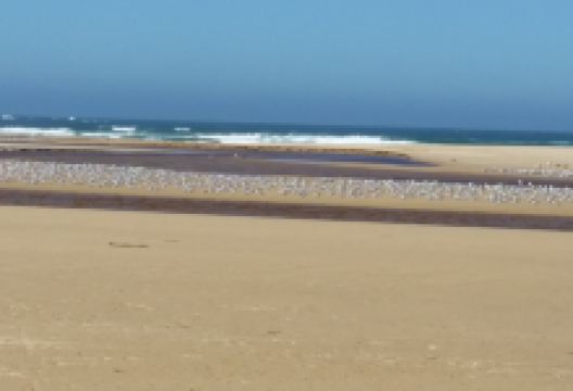 Goukamma Marine Protected Area景点图片